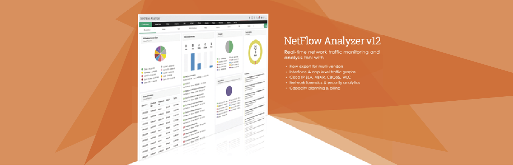 NetFlow Analyzer v12